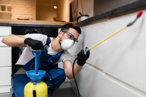Best Mosquito Control Services  in Noyack, NY