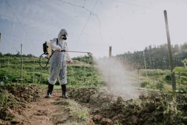Best Best Pest Control Companies  in Noyack, NY