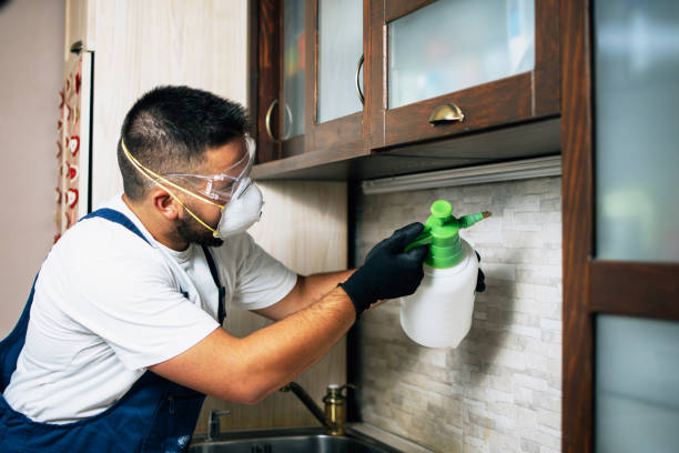 Best Cockroach Control Services  in Noyack, NY