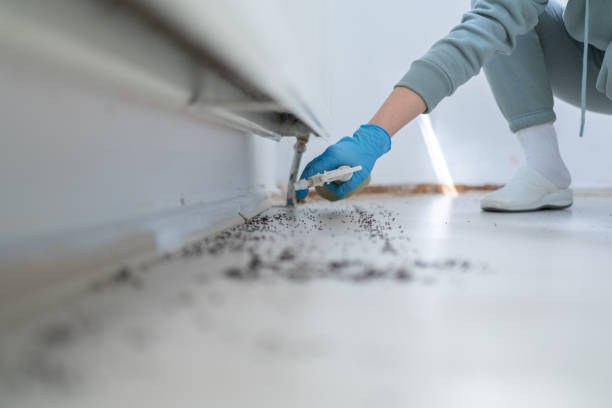 Best Termite Control Services  in Noyack, NY