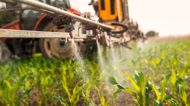 Best Ant Control Services  in Noyack, NY